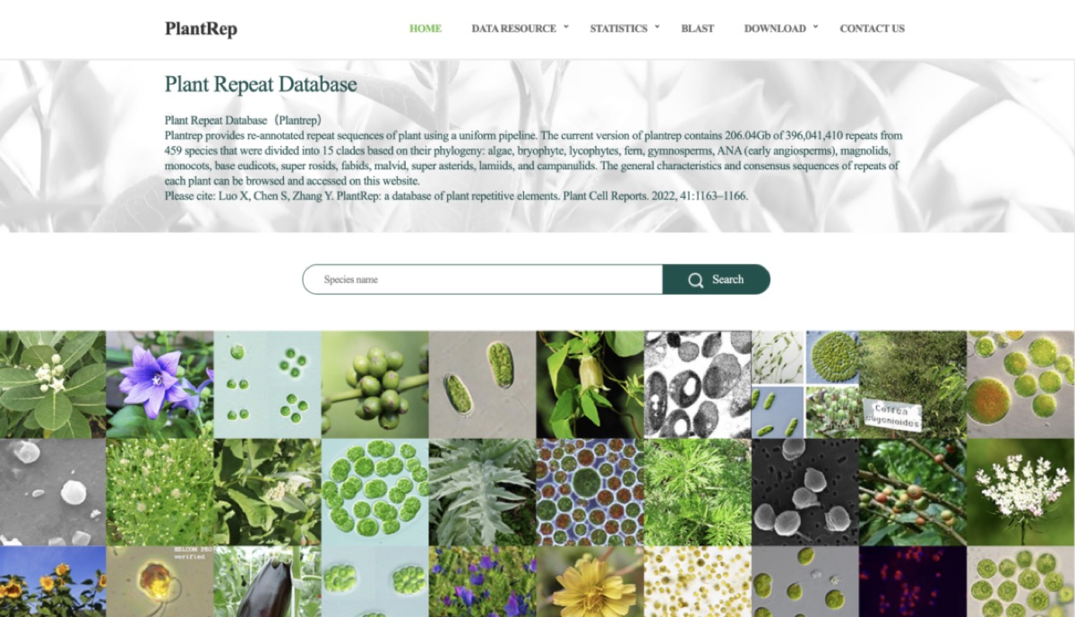 南京软件开发案例：Plant Repeat Database
